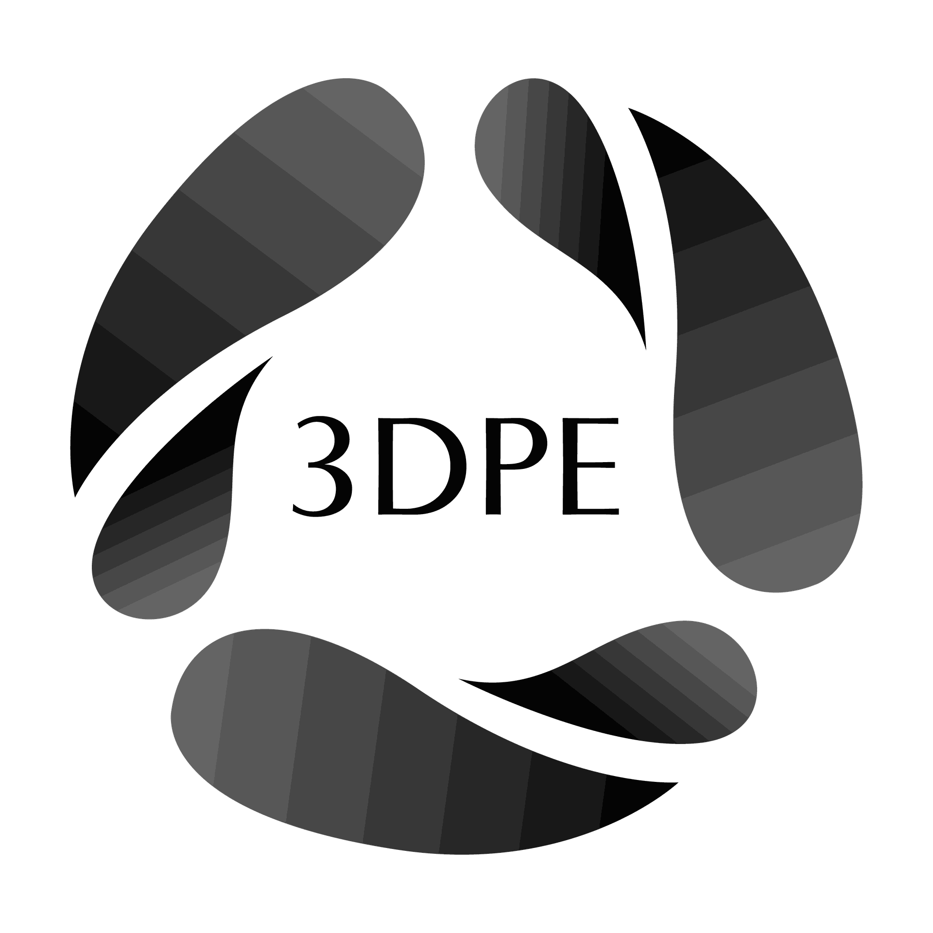 3DPE